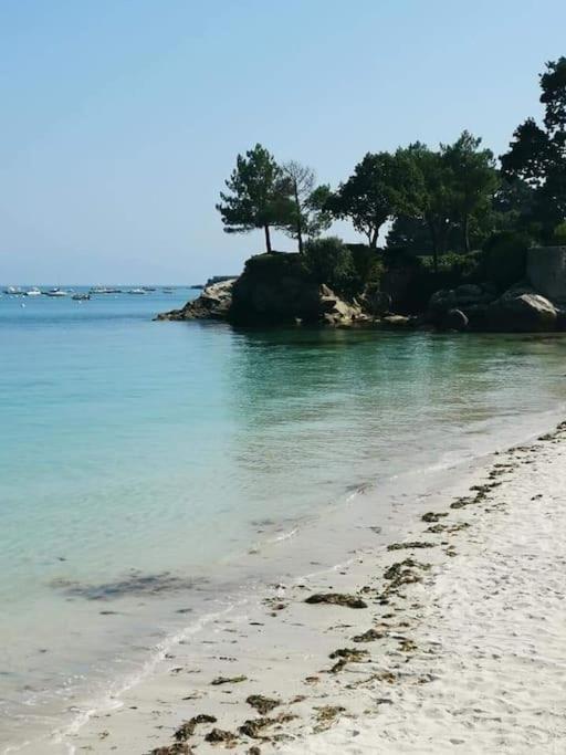 Face A La Mer Fouesnant Ngoại thất bức ảnh
